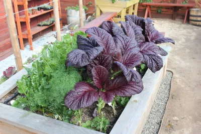 Our Show Room — Landscape Construction project by Harvest To Home Vegetable & Herb Garden Service