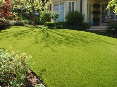 Heavenly Greens - Drought-Resistant Lawn Installation in San Jose, CA