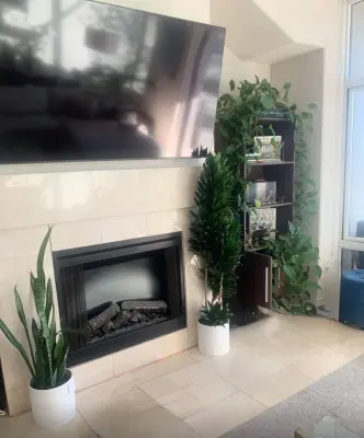Brandi Bernardino Designs - Interior Design & Decorating in San Diego, CA