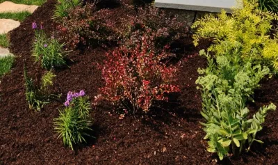 Heidrich Landscaping - Seasonal Yard Cleaning in Coram, NY