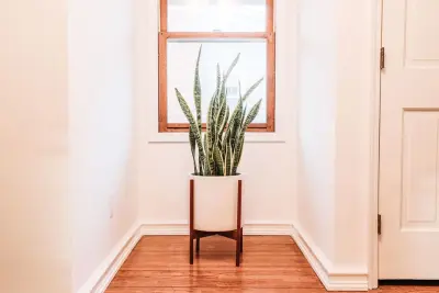 Good Designs - Professional Home Organizers in Springfield, IL