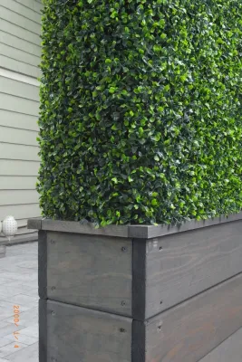 Brooklyn West - Artificial Boxwood Hedges - Landscape Design in Brooklyn, NY