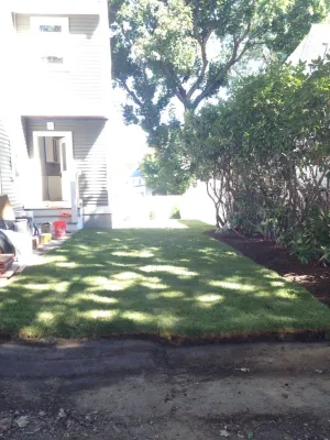 Hemlock Landscape and Design - Seasonal Yard Cleaning in Natick, MA