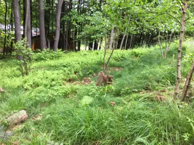Henderson's Tree & Garden Services - Retaining Wall Construction in White River Junction, VT
