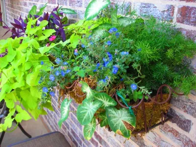 Highland Landscaping LLC - Landscape Maintenance in Southlake, TX