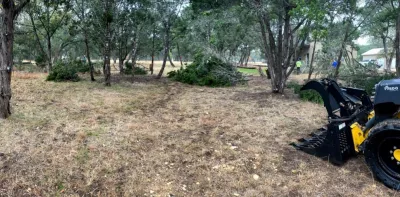 Hill Country Land Improvement - Tree Planting & Transplanting in Wimberley, TX