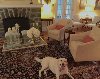 Wayne Elegant Lounge by Kelly Simkovich At Main Line Sound & Video