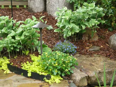 Hoaglandscape - Garden Remodeling in Belmont, NC
