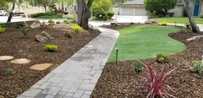 Holt Landscape Inc. - Tree & Shrub Care in Loomis, CA
