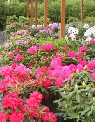 Home Grown Gardens - Sprinkler Installation & Repair in Corvallis, OR