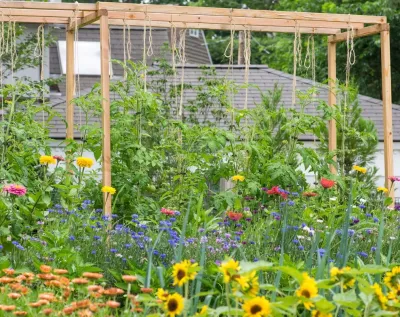 Homefront Farmers - Tree & Shrub Care in Ridgefield, CT