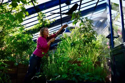 HomeHarvest - Edible Landscapes and Construction - Tree Planting & Transplanting in Arlington, MA