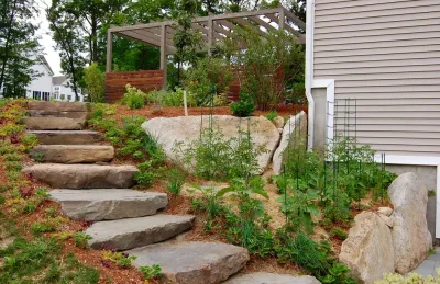 Edible Garden Transformation - Social Space — Landscape Construction project by HomeHarvest - Edible Landscapes And Construction