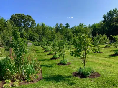Organic Fruit Orchard — Landscape Construction project by HomeHarvest - Edible Landscapes And Construction