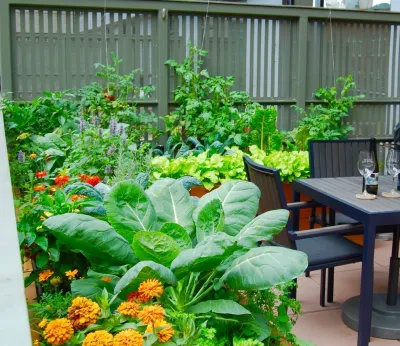 Cedar Raised Beds - Downtown Boston — Landscape Construction project by HomeHarvest - Edible Landscapes And Construction
