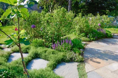 HomeHarvest - Edible Landscapes and Construction - Tree Planting & Transplanting in Arlington, MA