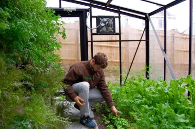 Edible Landscape, Greenhouse, Orchard, Patio — Landscape Construction project by HomeHarvest - Edible Landscapes And Construction