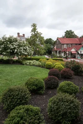 Homestead Gardens - Lawn Aeration in Davidsonville, MD