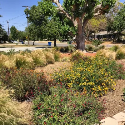 Hope Gardens - Tree Planting & Transplanting in Chatsworth, CA