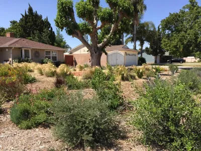 Hope Gardens - Tree Planting & Transplanting in Chatsworth, CA