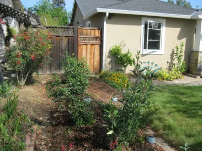 Native Front Yard Garden with Trellis — Landscape Construction project by Hortus Design Sustainable Landscapes in San Jose
