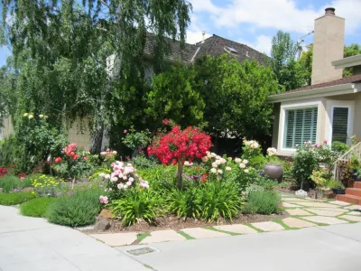Colorful Curb Appeal — Landscape Construction project by Hortus Design Sustainable Landscapes in Palo Alto