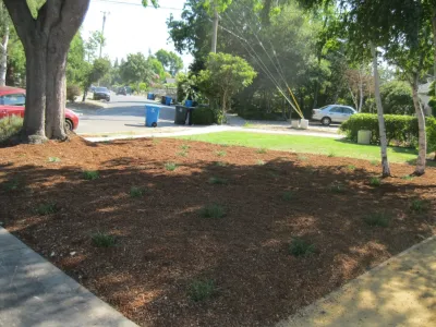 Hortus Design Sustainable Landscapes - Landscape Maintenance in Palo Alto, CA
