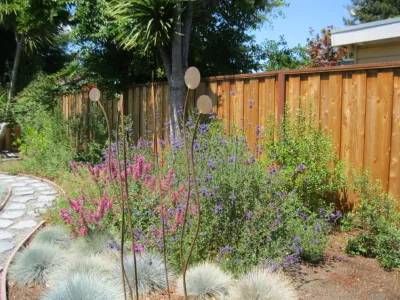 Modern, Eclectic Front & Back Yards by Hortus Design Sustainable Landscapes