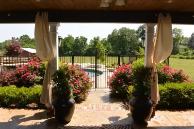 Outdoor Patio Design — Interior Design & Decorating project by Jo Waite Interiors & Construction