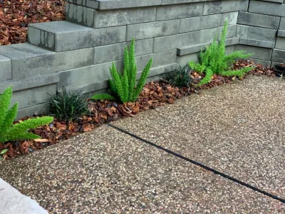 Hughes Landscape - Lawn Care & Mowing in El Dorado Hills, CA