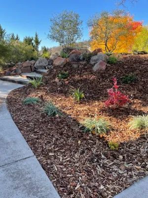 Hughes Landscape - Lawn Care & Mowing in El Dorado Hills, CA