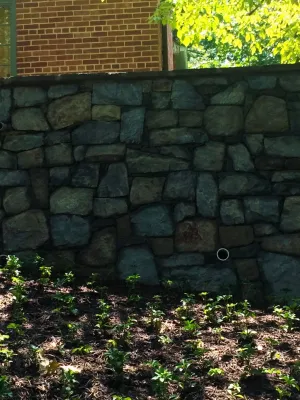 Hughes Landscaping - Land Cleaning in Poolsville, MD