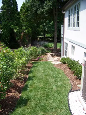 Hughes Landscaping - Land Cleaning in Poolsville, MD