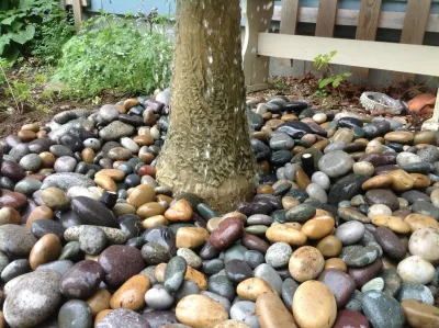 I love ponds.com - Outdoor Lighting Installation in Cherry Valley, MA