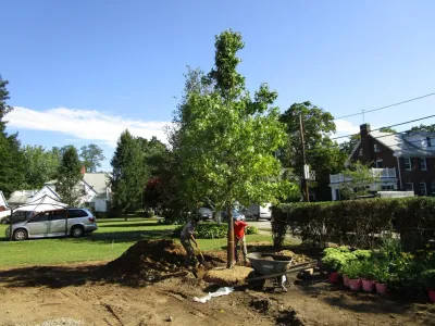 Ieraci Landscaping - Tree & Shrub Care in Newton, MA