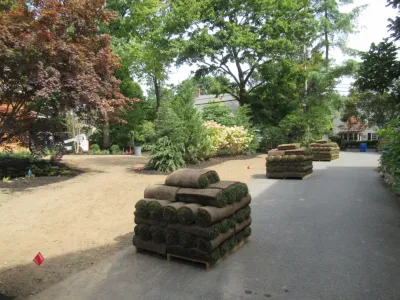 Ieraci Landscaping - Tree & Shrub Care in Newton, MA