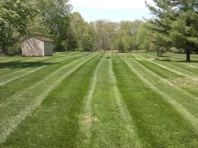Imperial Landscape Design LLC - Leaf Removal & Cleanup in Perkasie, PA