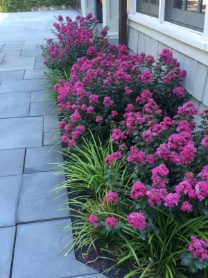 Ince Landscape Construction & Management - Lawn Aeration in Westfield, NJ