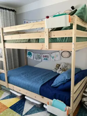 Wild Kratts-Themed Boys' Bedroom — Interior Design & Decorating project by Interiors By SarahRose