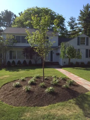 Ince Landscape Construction & Management - Lawn Aeration in Westfield, NJ