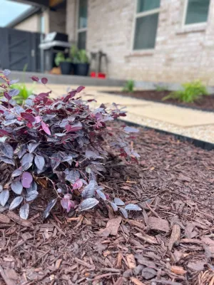 J J Landscape, Inc. - Drip Irrigation System Installation in Van Nuys, CA