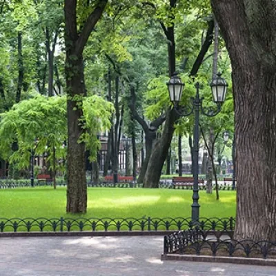 JBa Land Management - Landscape Maintenance in Dallas, TX