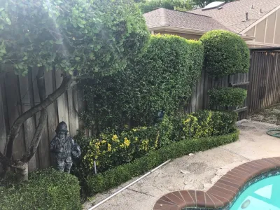 JD's MakIt Green Inc - Landscape Maintenance in Wylie, TX