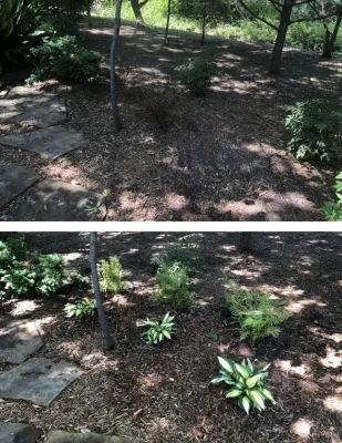 JD's MakIt Green Inc - Landscape Maintenance in Wylie, TX