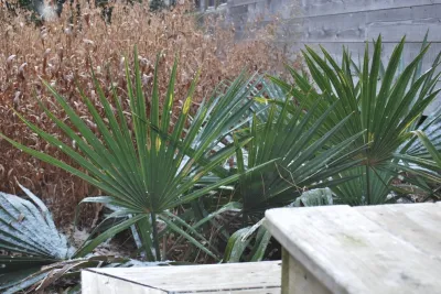 Jeff Klingel Landscape - Sprinkler Installation & Repair in Eastville, VA