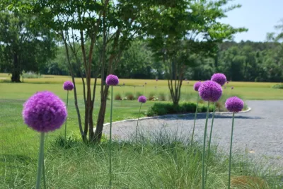 Jeff Klingel Landscape - Sprinkler Installation & Repair in Eastville, VA