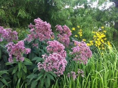 Jeff Klingel Landscape - Sprinkler Installation & Repair in Eastville, VA