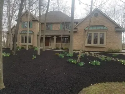 JM Landscape And Tree Services - Tree & Shrub Care in Columbus, OH
