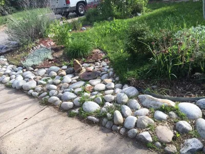John's Lawns and More - Lawn Care & Mowing in Parker, CO