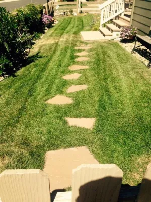 John's Lawns and More - Lawn Care & Mowing in Parker, CO